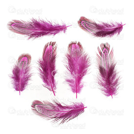 2501-0229-04 - Feather wild chicken Fuchsia 4-7cm 50pcs 2501-0229-04,4-7cm,Feather,wild chicken,Fuchsia,4-7cm,50pcs,montreal, quebec, canada, beads, wholesale
