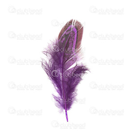 2501-0229-06 - Feather Wild chicken Purple 4-7cm 50pcs 2501-0229-06,4-7cm,Feather,wild chicken,Purple,4-7cm,50pcs,China,montreal, quebec, canada, beads, wholesale