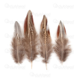 2501-0231-04 - Wild Chicken Feather Natural 4-8cm 50pcs 2501-0231-04,New Products,montreal, quebec, canada, beads, wholesale