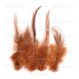 2501-0250-02 - Feather Rooster Coffe 10-15cm 40pcs 2501-0250-02,plumes,Rooster,Feather,Rooster,Coffe,10-15cm,40pcs,China,montreal, quebec, canada, beads, wholesale