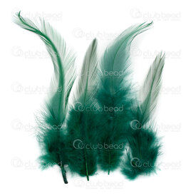 2501-0250-04 - Feather Rooster Emerald Green 10-15cm 50pcs 2501-0250-04,Feathers natural,Feather,Rooster,Emerald Green,10-15cm,50pcs,China,montreal, quebec, canada, beads, wholesale