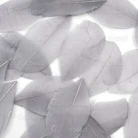 2501-0261-04 - Feather Goose Medium Grey 5-8cm 50pcs 2501-0261-04,5-8cm,Feather,Goose,Medium Grey,5-8cm,50pcs,China,montreal, quebec, canada, beads, wholesale