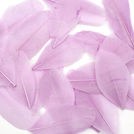 2501-0261-08 - Plume Oie Bleu Lilas 5-8cm 50pcs 2501-0261-08,Plumes naturelles,montreal, quebec, canada, beads, wholesale