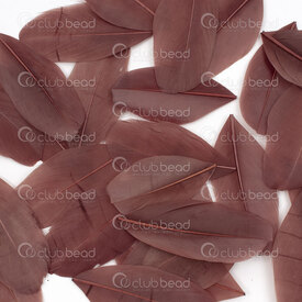 2501-0261-10 - Plume Oie Bleu Brun Moyen 5-8cm 50pcs 2501-0261-10,Plumes naturelles,montreal, quebec, canada, beads, wholesale