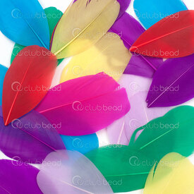 2501-0261-MIX2 - Feather Goose Vivid Color Mix 5-8cm 50pcs 2501-0261-MIX2,50pcs,Goose,Feather,Goose,Vivid Color Mix,5-8cm,50pcs,China,montreal, quebec, canada, beads, wholesale