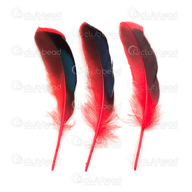 2501-0270-02 - Feather Duck Red/Black Iridescent 10-15cm 44pcs 2501-0270-02,Feather,Duck,Red/Black Iridescent,10-15cm,44pcs,China,montreal, quebec, canada, beads, wholesale