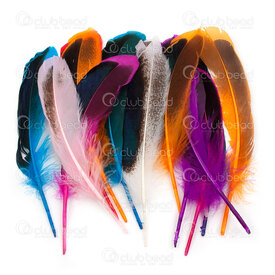 2501-0270-MIX - Feather Duck Mix Color Iridescent 10-15cm 50pcs 2501-0270-MIX,Feathers natural,montreal, quebec, canada, beads, wholesale