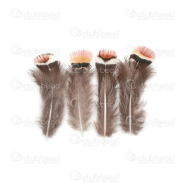 2501-0280-02 - Wild Chicken Feather Natural Red Edge 5-10cm 50pcs 2501-0280-02,montreal, quebec, canada, beads, wholesale