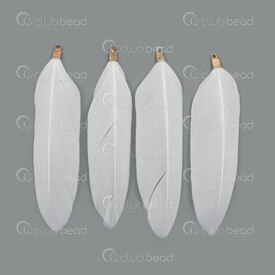 2501-0350-06GL - Feather Duck White 7-9cm With Gold Connector 20pcs 2501-0350-06GL,DUCK,montreal, quebec, canada, beads, wholesale