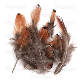 2501-0360-02 - Pheasant Chicken Feather 4-8cm Natural Black Dot approx.50pcs 2501-0360-02,plumes,montreal, quebec, canada, beads, wholesale