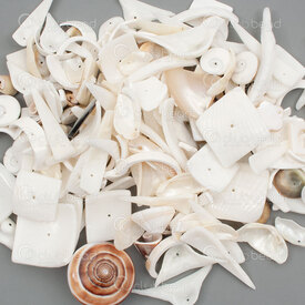 3002-1114-06 - Shell Bead Assortment Size-Shape-Color Assorted (approx. 1.5lb) 1 Jar 3002-1114-06,Beads,Shell,Mix,montreal, quebec, canada, beads, wholesale