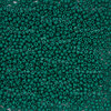 1101-0011-01-50GR