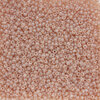 1101-7600-13-22GR