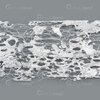 1710-0100-02