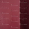 2501-0400-02