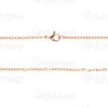 2602-0818-RGL